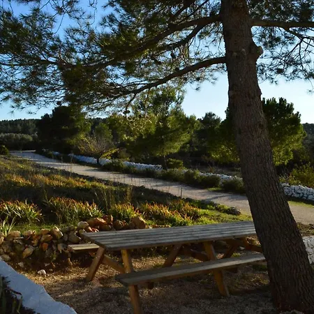 Casas מלון